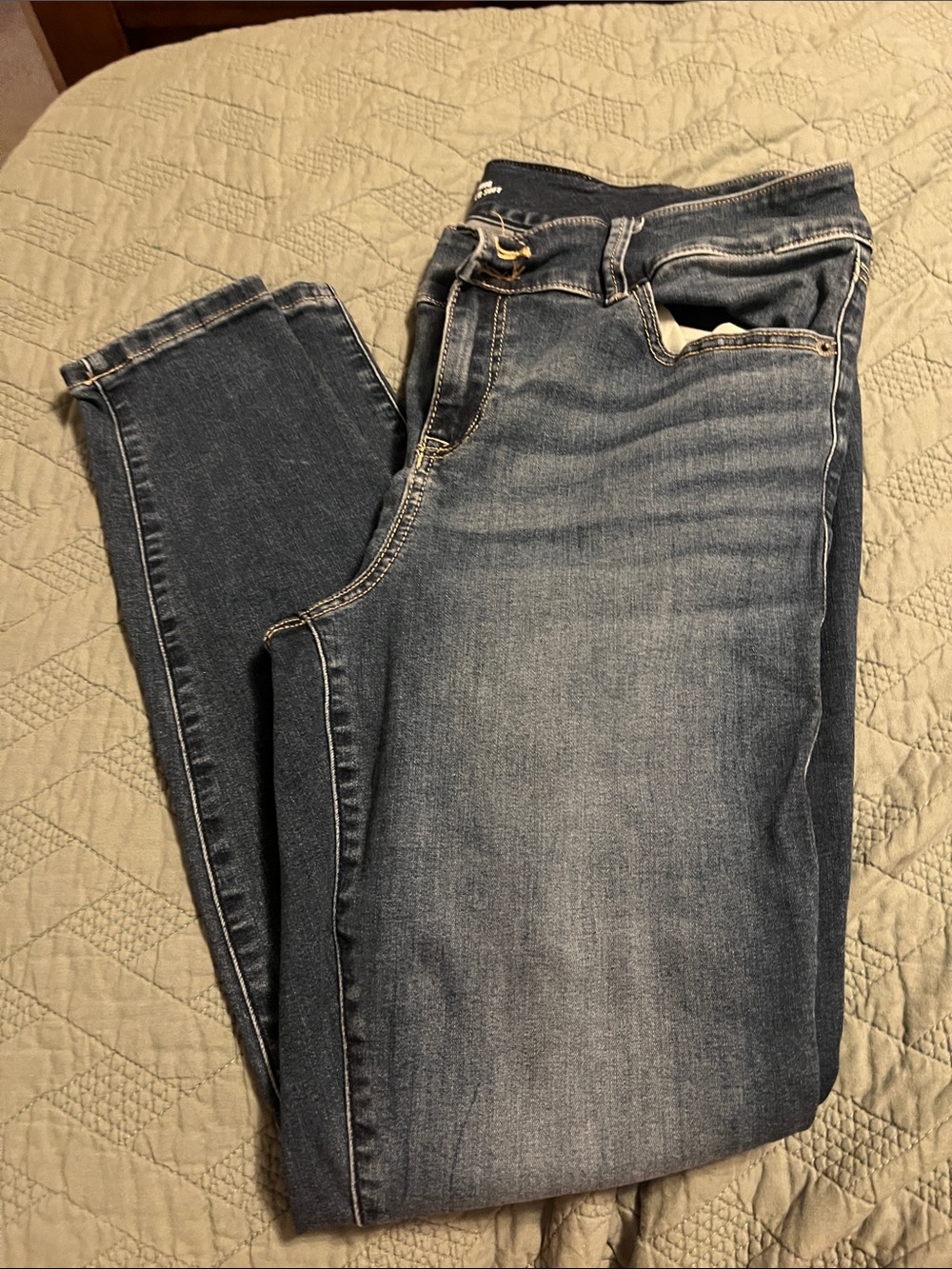torrid Dark Wash Skinny Jeans in Blue